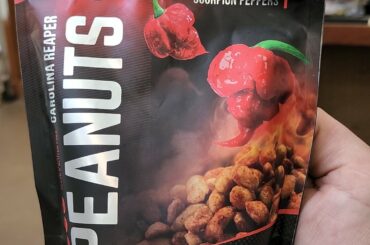 These surprised me on how spicy these were.