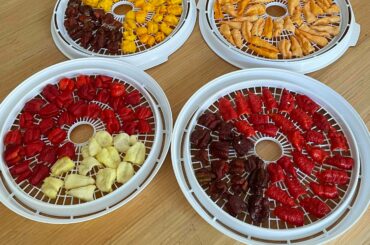 Dehydration Space Station