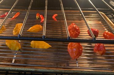 Pepper ID? These were grown in NC. Dehydrated in my oven. The orange ones on the right hurt so good!