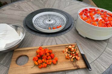 Making the Forbidden Dust.