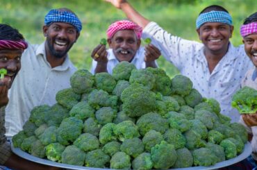 CHICKEN BROCCOLI | Chicken Pepper Fry with Broccoli | Healthy Broccoli Recipe Cooking in Village