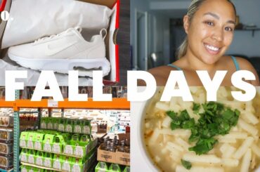DAYS IN MY LIFE: White Chicken Chili Recipe + Laminating My Brows + Nike Air Max Unboxing | Vlog 210