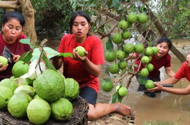 two women picking guava fruit and eating - eating guava with chili's salt recipe