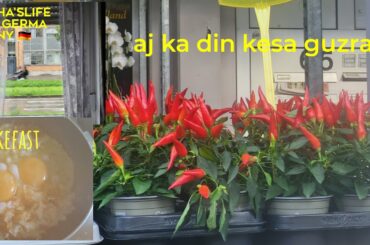 brakfast kiya ho daily ! beef chili recipe || aj ka din kesa guzra #mom'slifeingermany