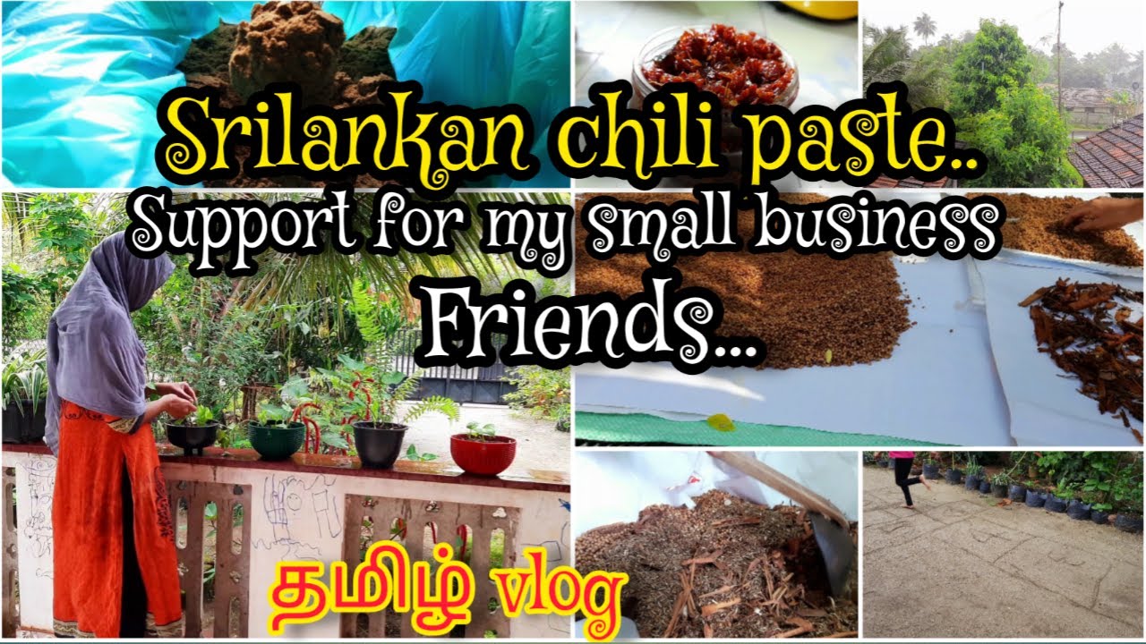 Srilankan tamil vlog/Srilankan chili paste recipe/Srilankan curry