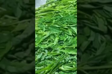 Yummy Oyster with Chili Sauce#ouncooking #food #shorts #recipe #oysters