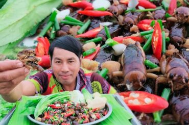 Amazing Yummy eating deep fried cricket chili spicy Recipe