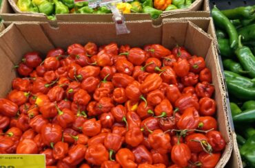 Bulk reapers, hell yeah!