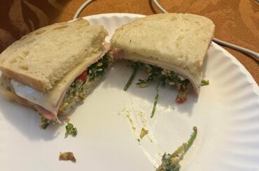 My sandwich. Ghost pepper, egg, coriander, Swiss cheese, deli ham, Cheyenne, celery seed, minced garlic, basil. Cooked in extra virgin olive oil, on French bread smeared with mayonnaise. It was delicious.