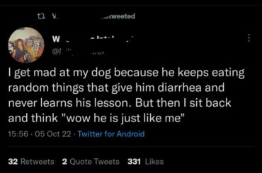 never learn a lesson.