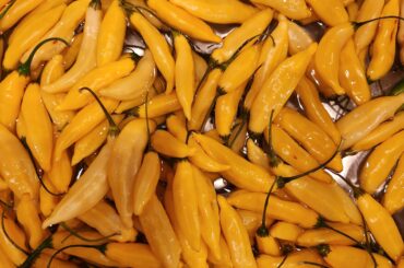 Who else loves hot lemon peppers? Such a unique flavor!