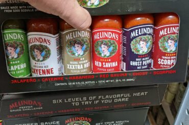 An absolute STEAL at Sam's Club, $13