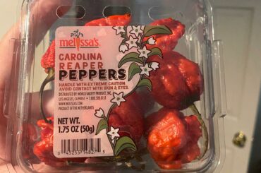 How should I eat these? Also can I save the seeds for next growing season? (West coast USA)