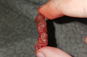 I was eating hot cheetos and got a brunt chip