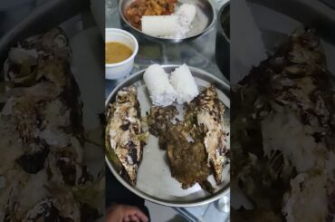 Fresh Mackerel Recipes || green chili #shaijutech #shorts #malayalam #trending #aswinmadapally