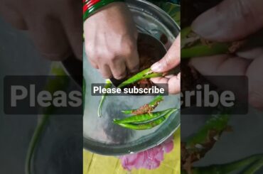 oo bolega ya oo oo song with masala fry green chili // youtube sorts video