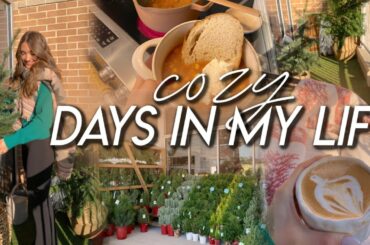 COZY DAYS IN MY LIFE | decorating our balcony for christmas, cooking chili, tidying up, & errands!