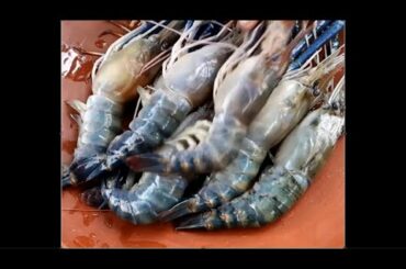 Grilled Lobster With Chili Sauce | Seafood | Food My Village | Foodka: BD