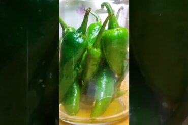 Green chili and lemon pickle- Hari mirach aur lemo k ras ka achar-Tasty lemon aur green chili pickle