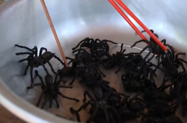 How many more chilis would you have to add before you’d eat it?