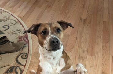 Should I give it to her?