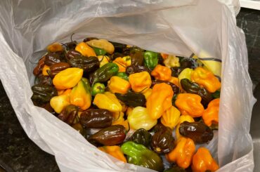 Time to make the hot sauce