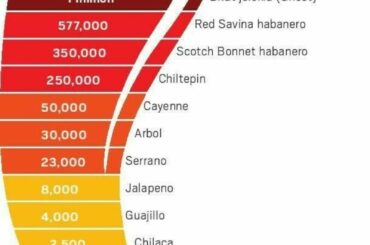 How many if these did you try?