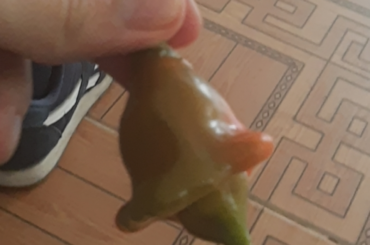 What kind of chili is this?