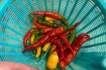 He just came out of the pool, ok? THERE‘S SHRINKAGE!!