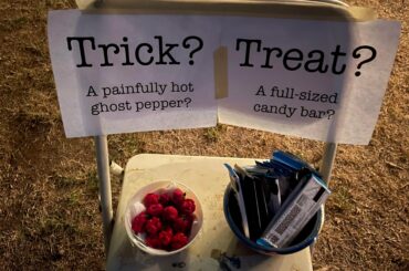 Am I doing this right?