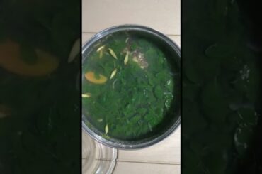 miniata grouper fish stew#short#lapulapu#horseradish#lemongrass#ginger#onion#tomato#chili green