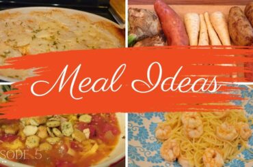 3 AMAZING recipes to share!  Root Vegetable Au Gratin, Turkey chili and Lemon shrimp pasta - YUMMY!