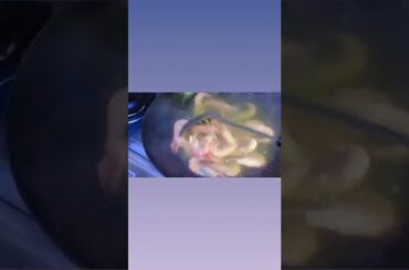 @EASY CHINESE  BOILED SHRIMP RECiPE#with garlic & Chili Sauce