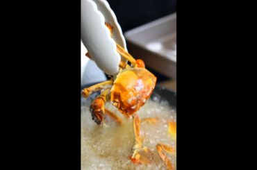 Stir-fried crab with Garlic and chili #shorts #cooking #christmas #crab