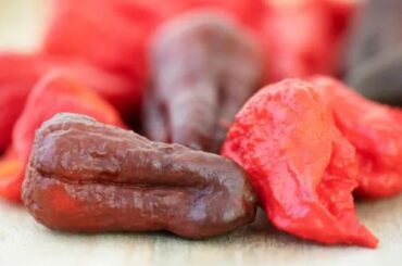 The title of this...