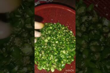 homemade green chili powder bnanay ka tareeqa #shorts