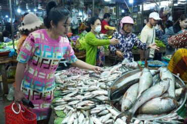 Market show, Today river fish is so fresh - I buy fish to make grilled fish eat with pickled chili