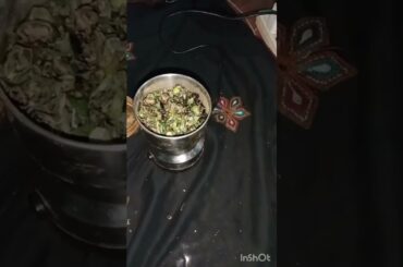 homemade green chili powder easy recipe #shorts