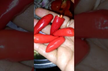 Tasty Chings Paneer Chili Recipe |Quick Chili Paneer Recipe |HomeMadeRecipe #youtubeshorts #paneer