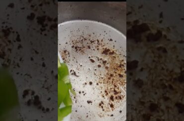 Chili in 15 seconds