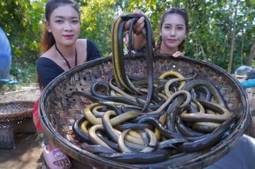 Cook eels crispy with chili recipe and eat - Amazing cooking