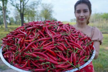 Chili cook recipe with chicken - Amazing cooking