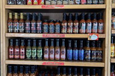 Any recommendations?