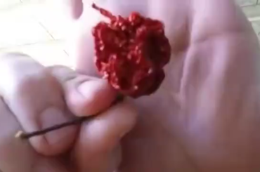 The outcome is exactly what you think it is