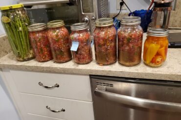 Home made salsa