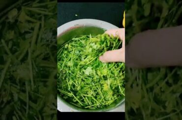 Ginger Garlic Green Chili and Coriander: An Easy and Quick Recipe