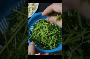 Ginger Garlic Green Chili and Coriander: An Easy and Quick Recipe