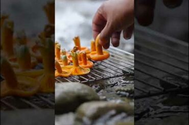 mashroom chili recipe making video | #cooking #food #nature #mukbang