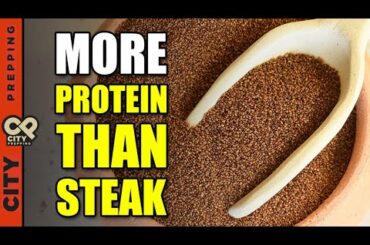 High Meat Prices! 47 Affordable High Protein Alternatives (Recipes Included)