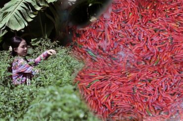 Amazing Chili Recipe